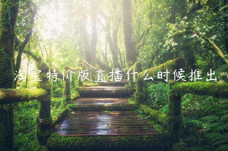 淘寶特價版直播什么時候推出